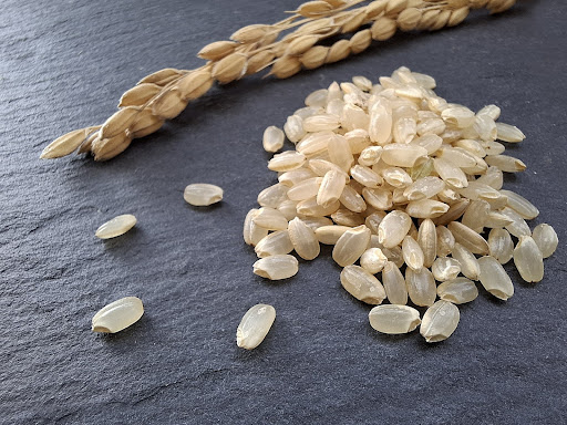 玄米の産地によって味や品質が変わる3つの理由