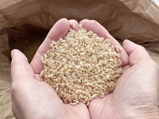 玄米を高齢者が食べるときの3つの注意点