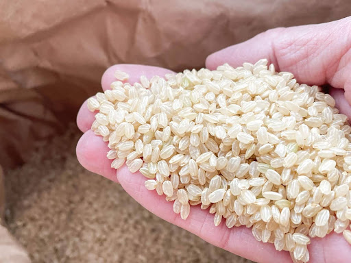 玄米の炊き方でよくある失敗と対処法4選