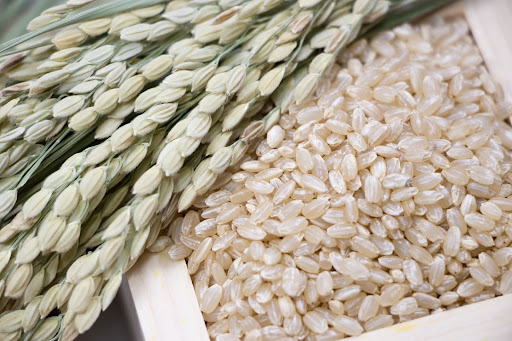 玄米にカビが生えた場合は食べずに廃棄して対処する