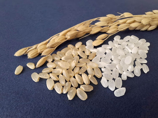 見た目の違い｜玄米はあめ色で白米より濃い色が特徴