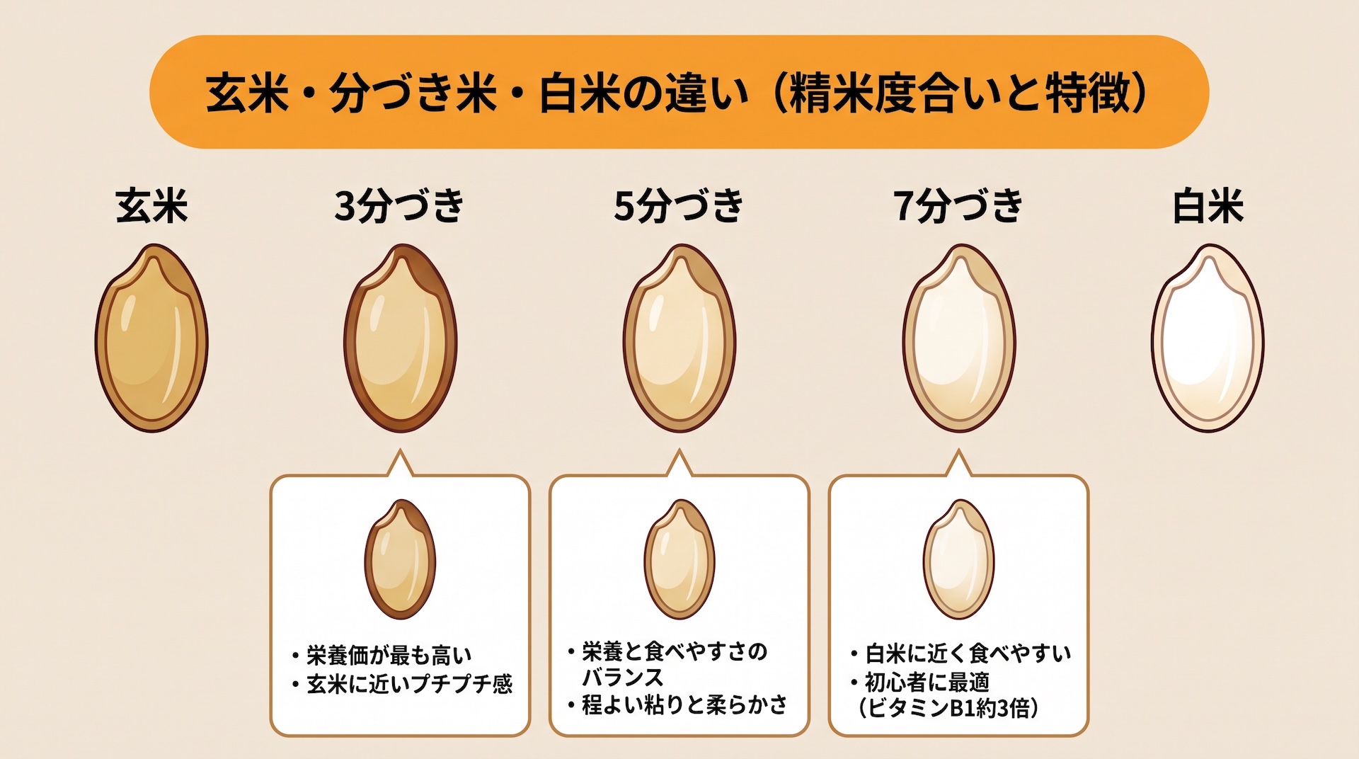 分づき米とは？玄米・白米との違いを解説