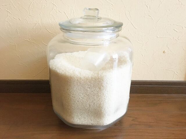 お米の虫対策イメージ