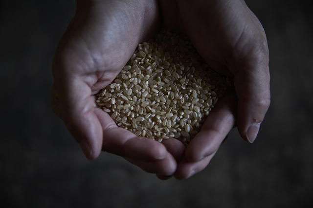 ダイエットを楽しむためのおいしい玄米の炊き方