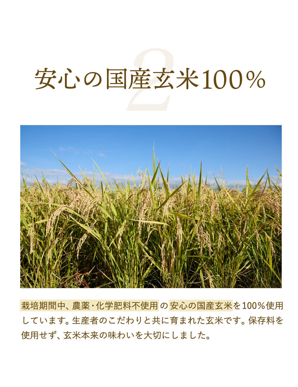 発芽玄米パックごはん 125g×18食セット 栽培期間中農薬化学肥料不使用