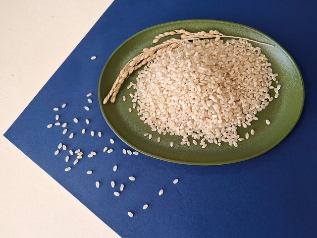 玄米に含まれる成分