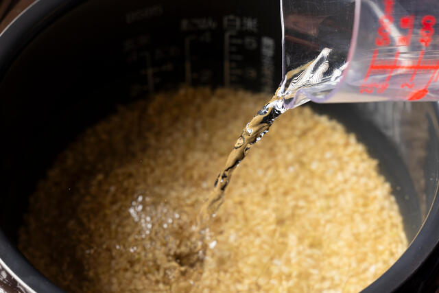 玄米は完全栄養食！主要な5つの栄養素をご紹介