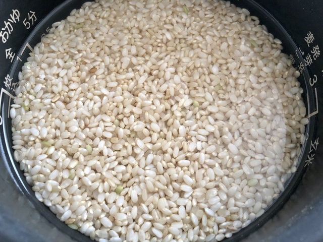 玄米の適切な浸水（浸漬）時間の目安