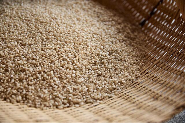 玄米特有の匂いのイメージ