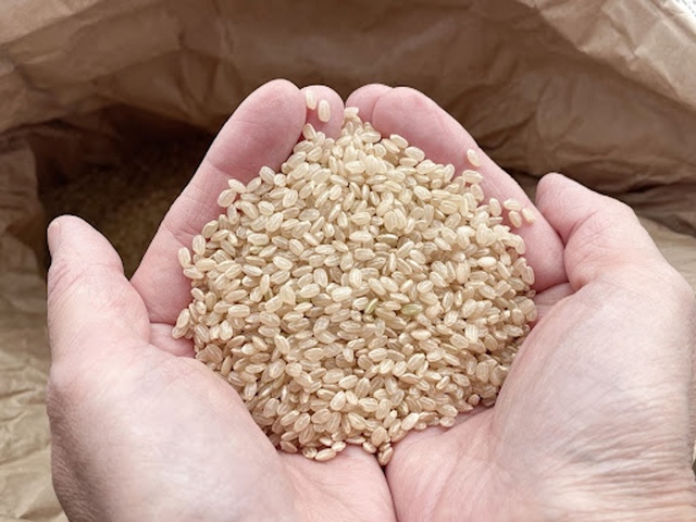 緑色の玄米は問題なく食べられる？