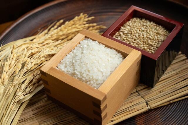 玄米と精米の違いイメージ