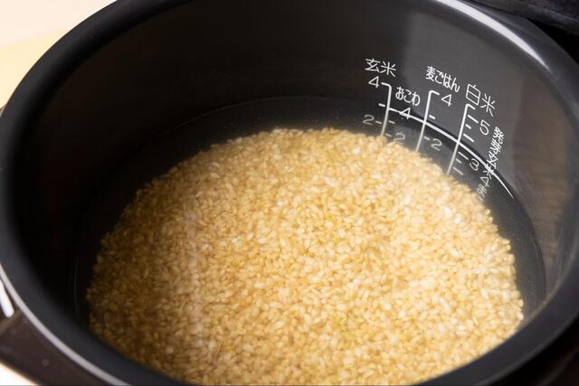 玄米は浸漬（浸水）なしでも炊ける？必要な理由、調理法や美味しい炊き方を紹介