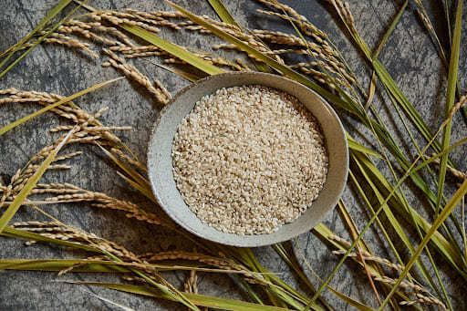 玄米の価格相場