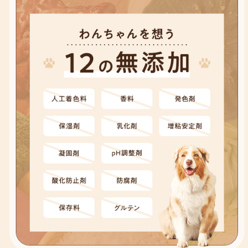 【総合栄養食】マイディッシュ 健康寿命ケア(12パック入り)