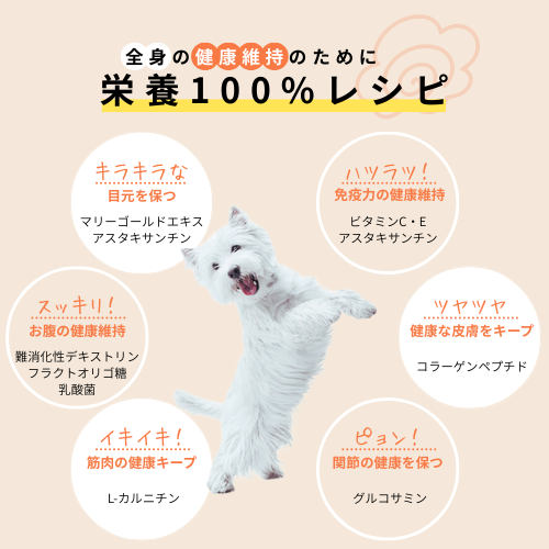 【総合栄養食】マイディッシュ 健康寿命ケア(12パック入り)