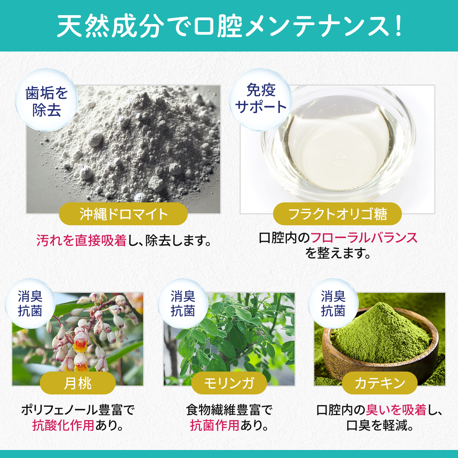 myワンピカ　歯と歯ぐきの健康ケア