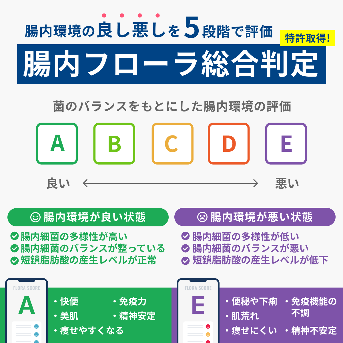 【定期便】自宅でできる腸内フローラ検査「マイキンソー」