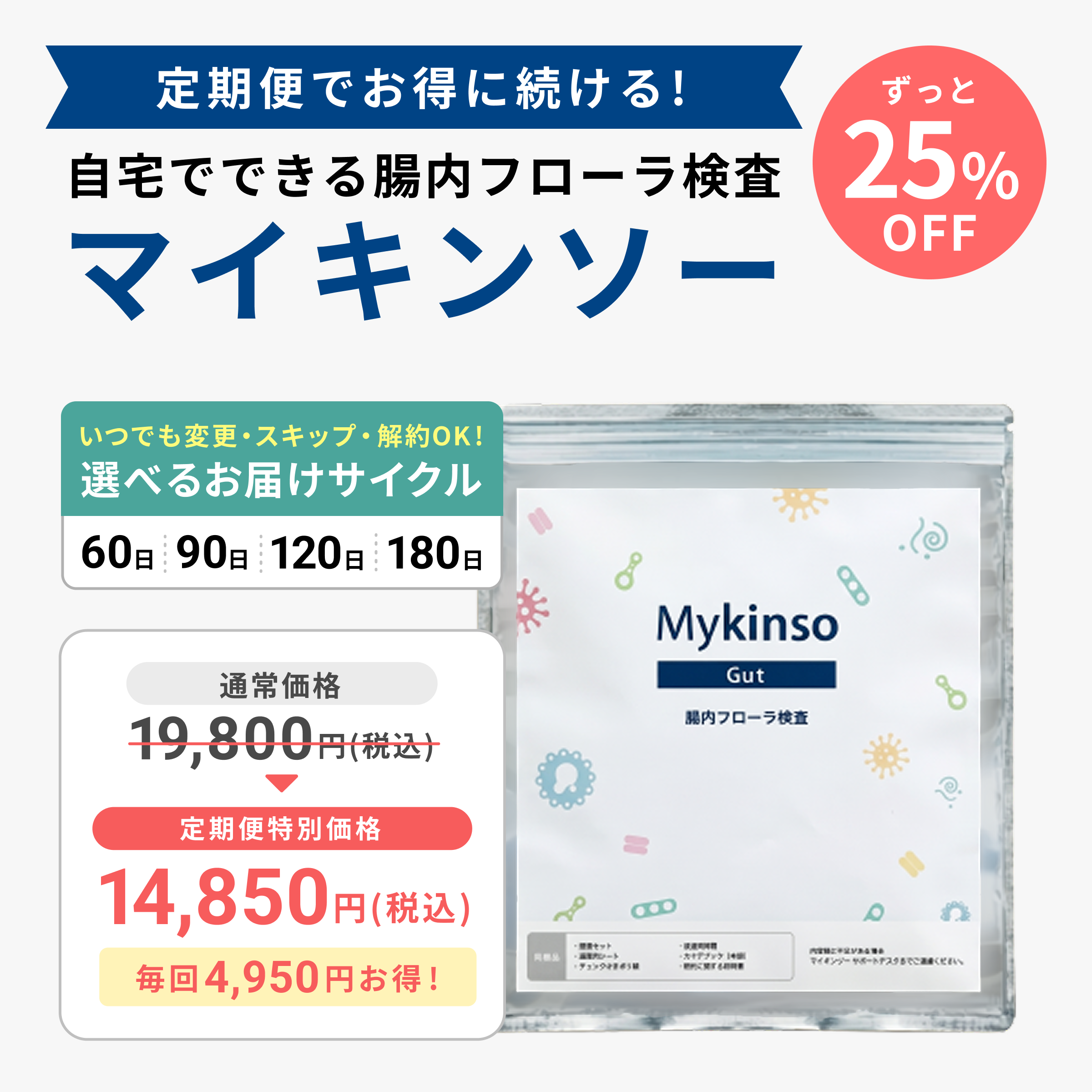 【定期便】自宅でできる腸内フローラ検査「マイキンソー」