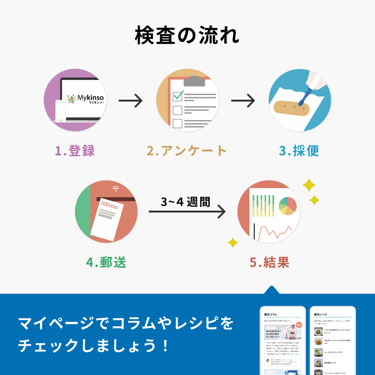 【定期便】自宅でできる腸内フローラ検査「マイキンソー」