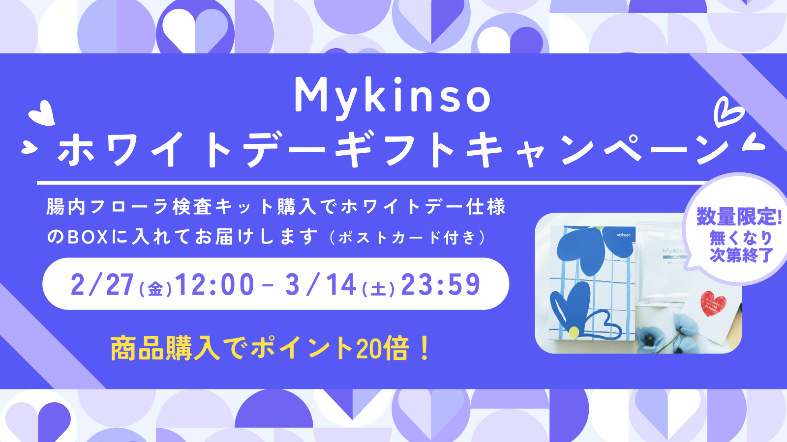 【ホワイトデーギフト】自宅でできる腸内フローラ検査「マイキンソー」