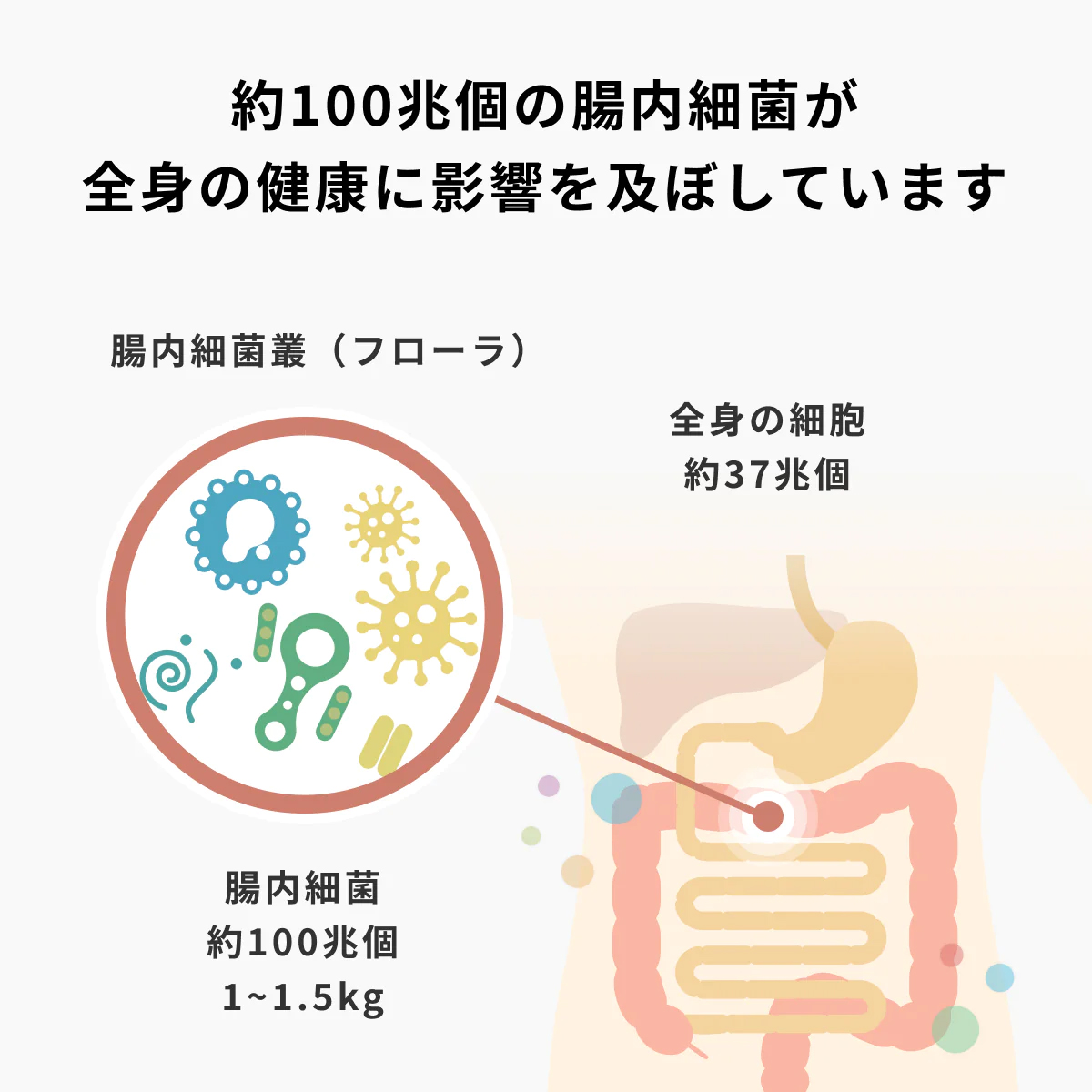 医療法人財団豊島健康診査センター専用　腸内フローラ検査 「 マイキンソープロ」 購入ページ
