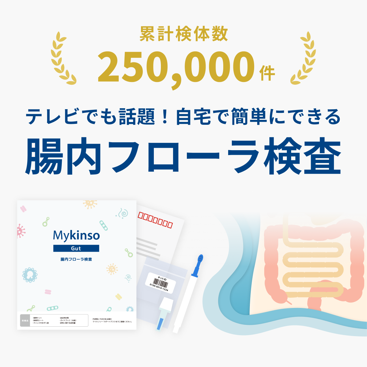 【定期便】自宅でできる腸内フローラ検査「マイキンソー」