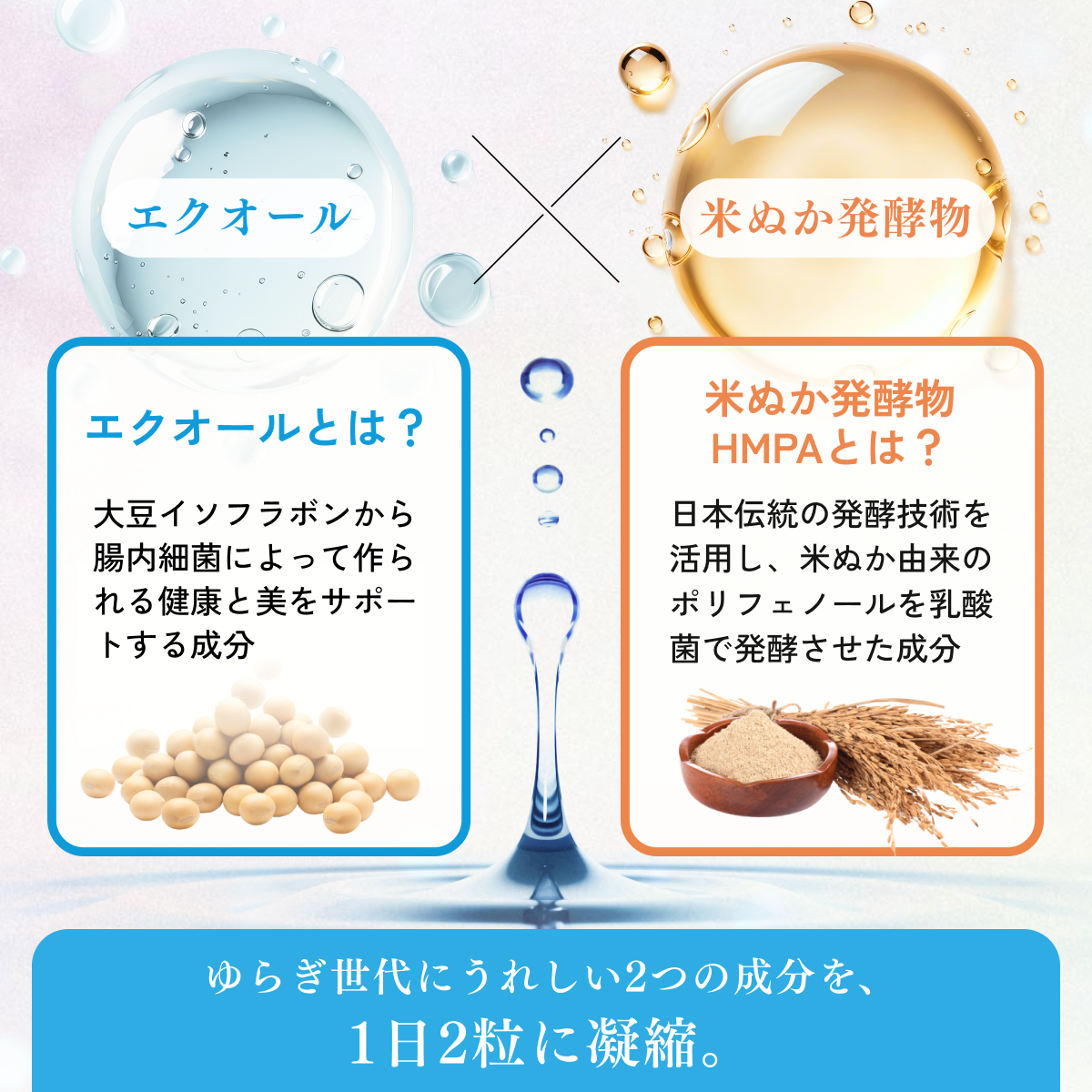 マイキンソーエクオールプレミアム【毎月定期便】