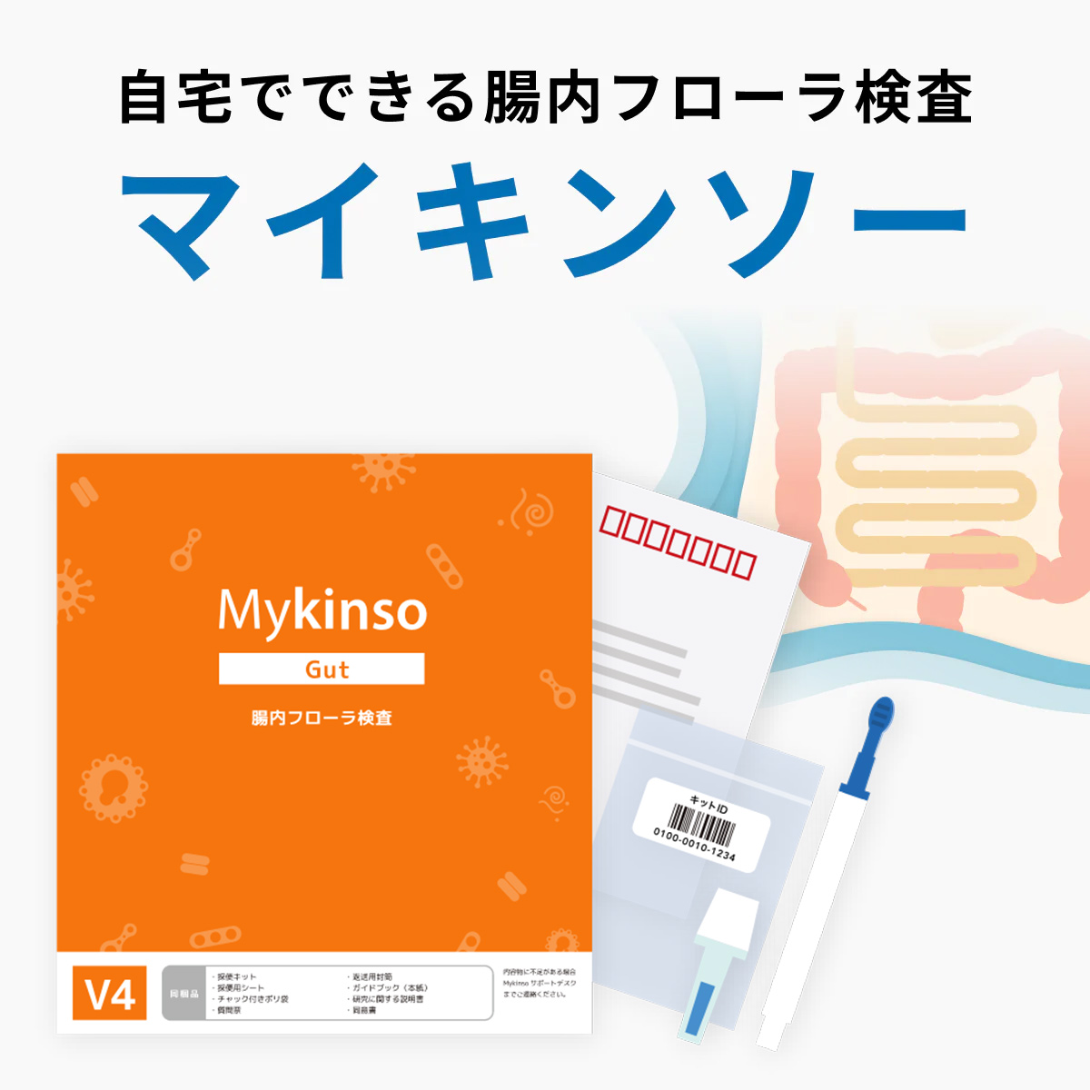 腸内フローラ検査「Mykinso GutV4（オンライン版）」