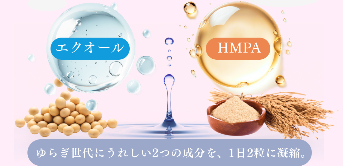 ダブル発酵のイメージ
