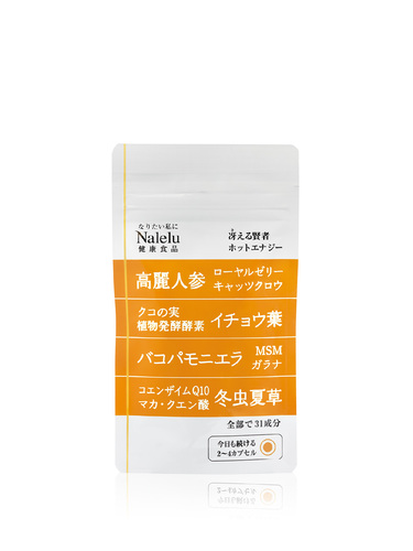 冴える賢者 ホットエナジーR