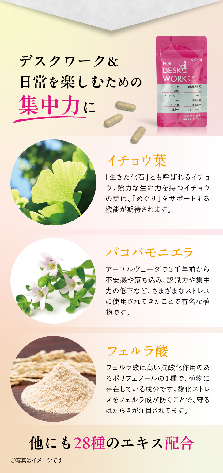 DESK WORK デスクワ－ク 詳細はこちら
