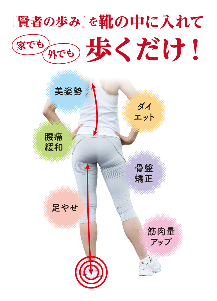 賢者の歩み 詳細はこちら