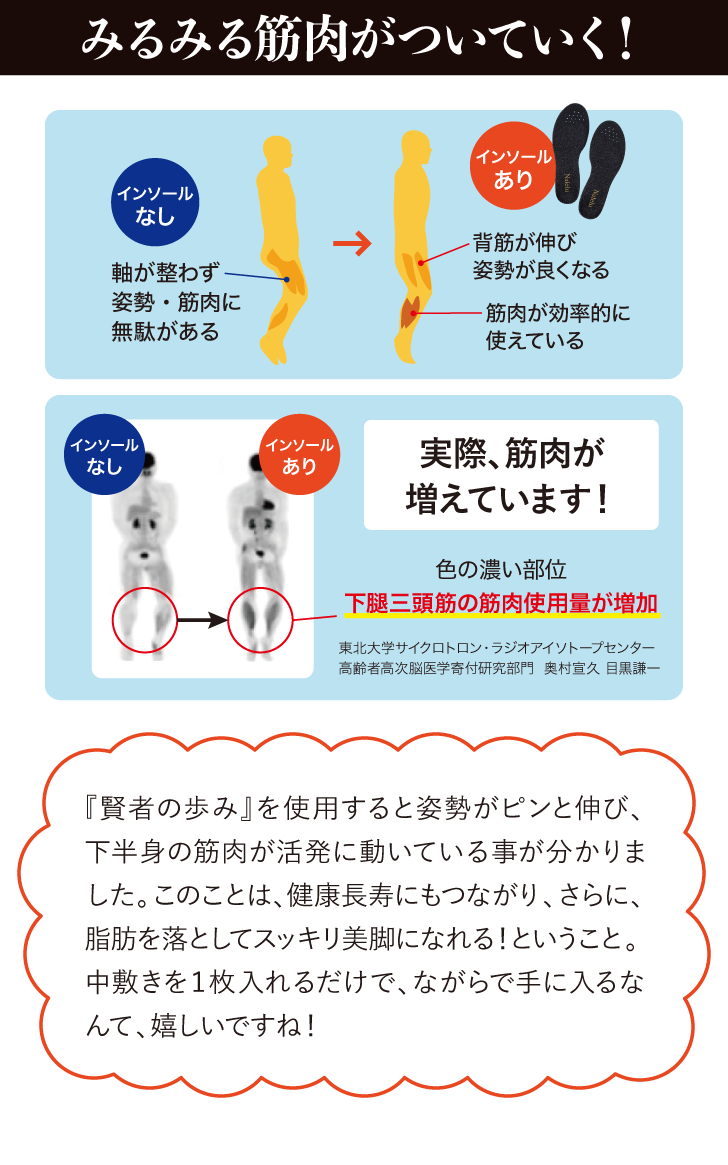 賢者の歩み 詳細はこちら