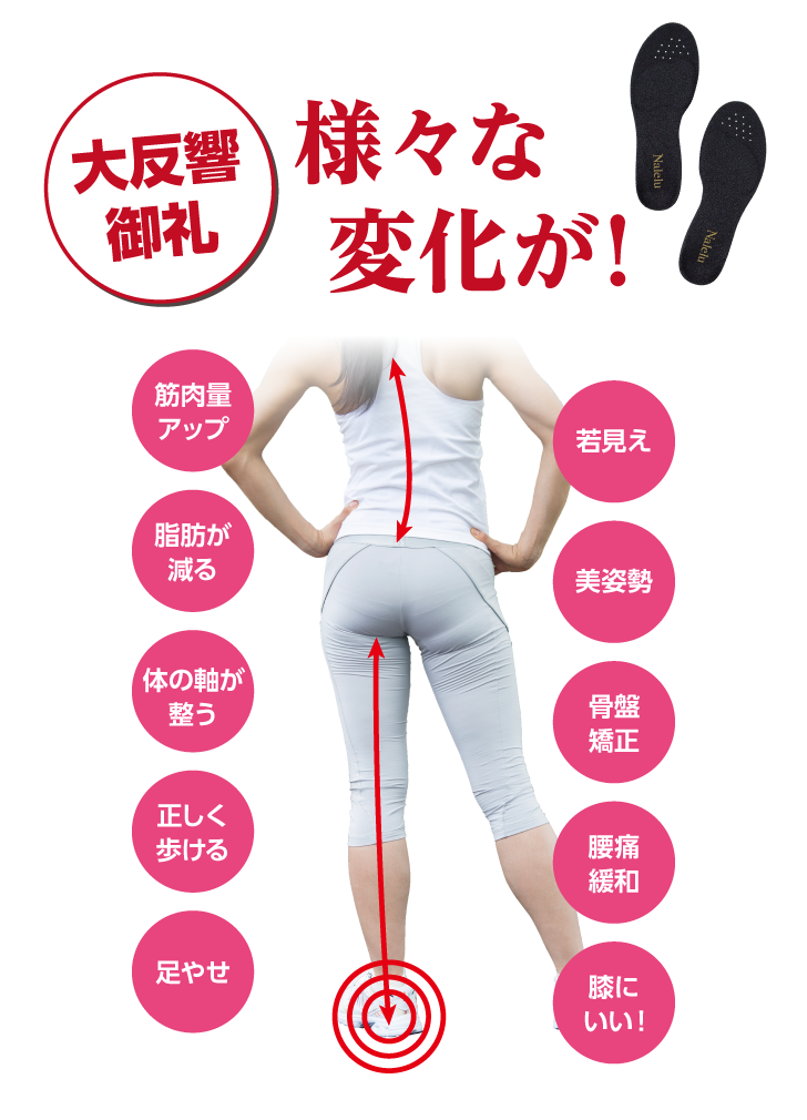 賢者の歩み 詳細はこちら