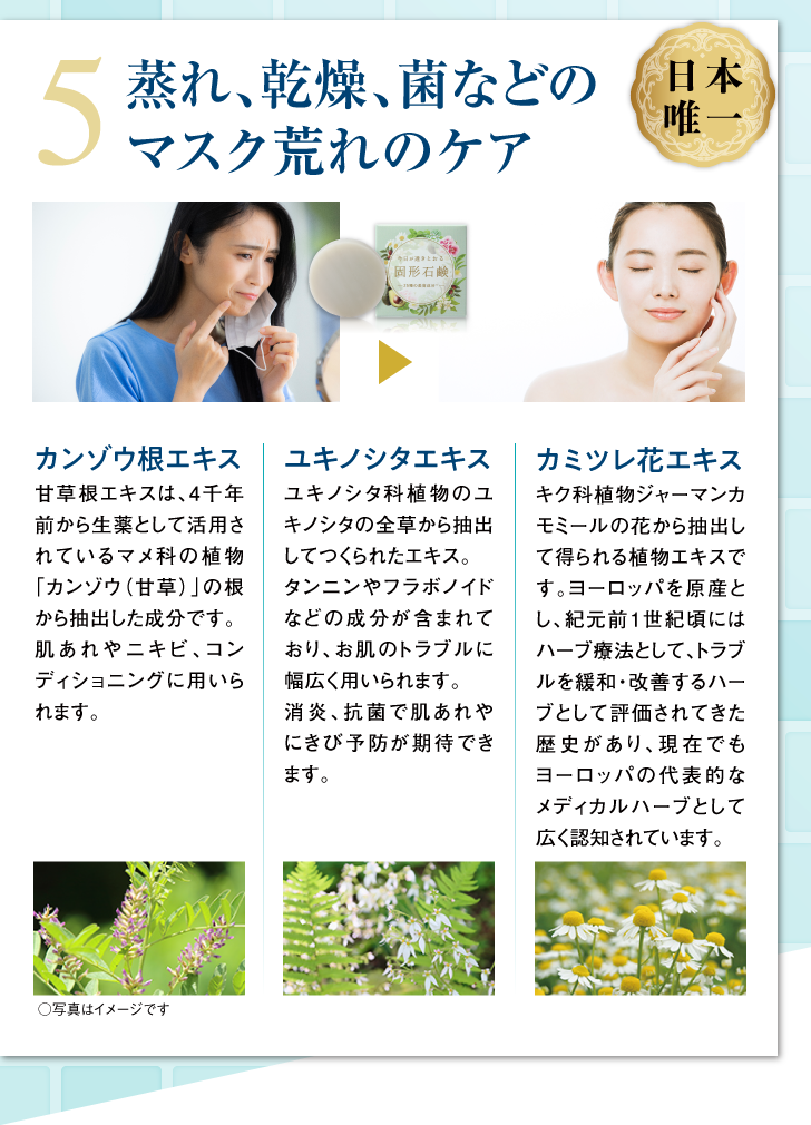 今日が透きとおる固形石鹸 詳細はこちら