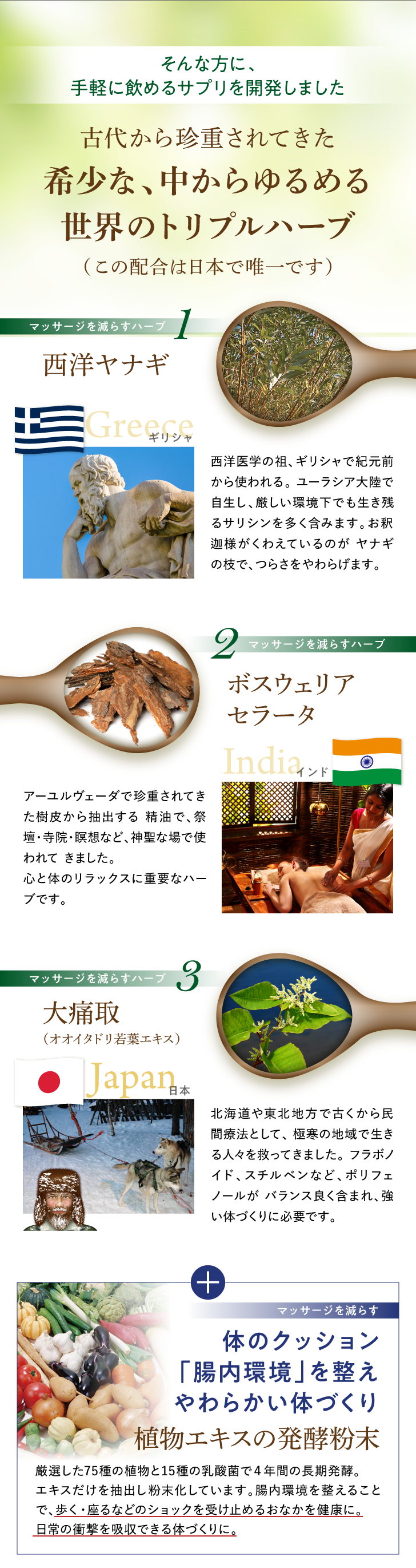 もみほぐしハーブサプリ 詳細はこちら