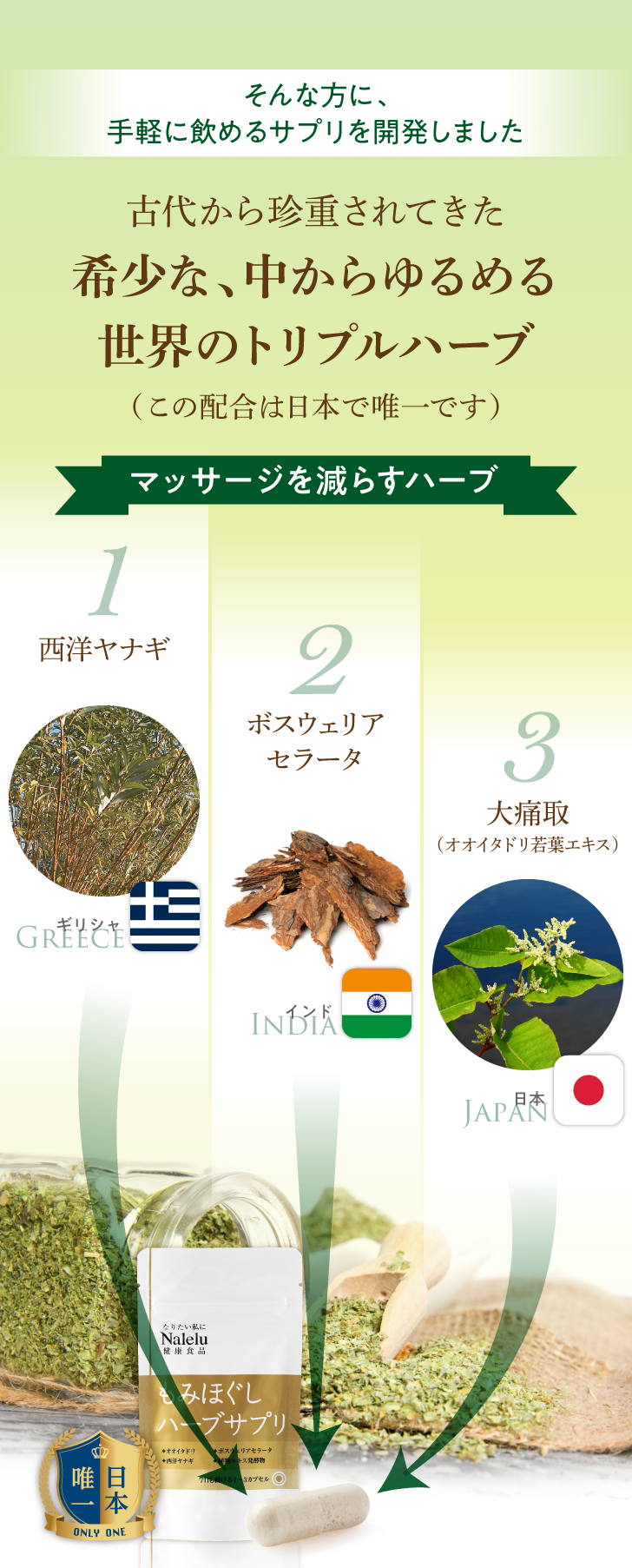 もみほぐしハーブサプリ 詳細はこちら