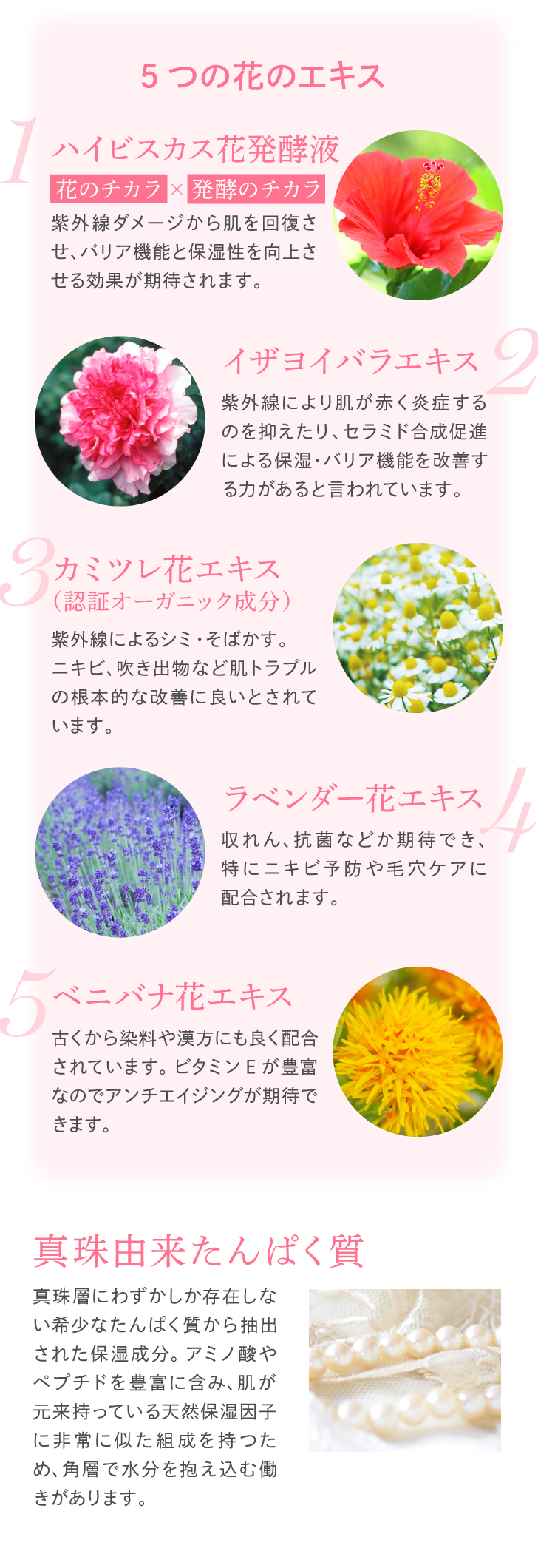大人の美白シワUVケアセット
 詳細はこちら