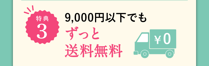 特典3 9,000円以下でもずっと送料無料