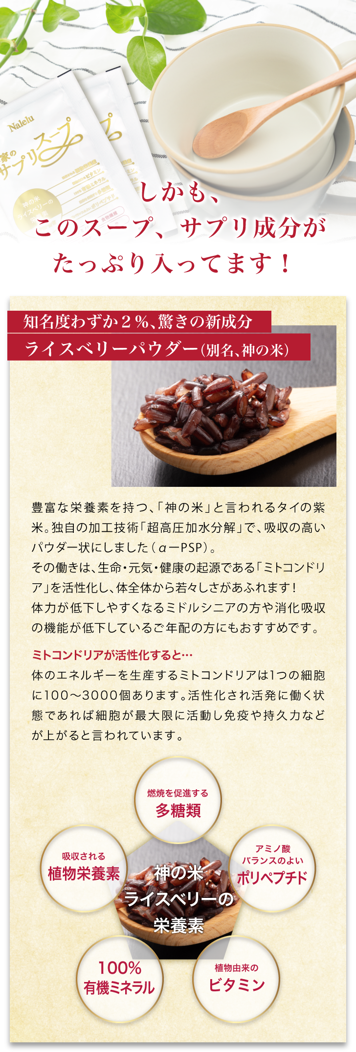 王家のサプリスープ 詳細はこちら