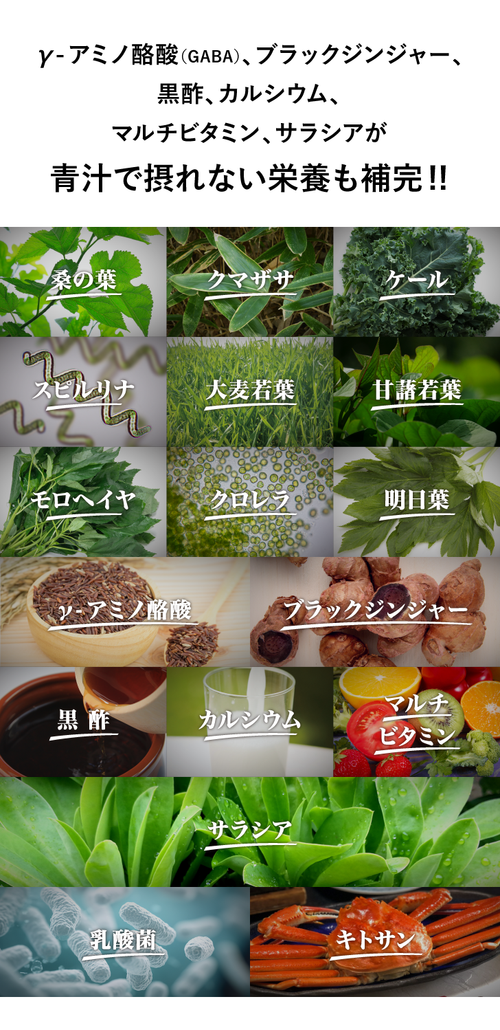 特濃 健康青汁 詳細はこちら