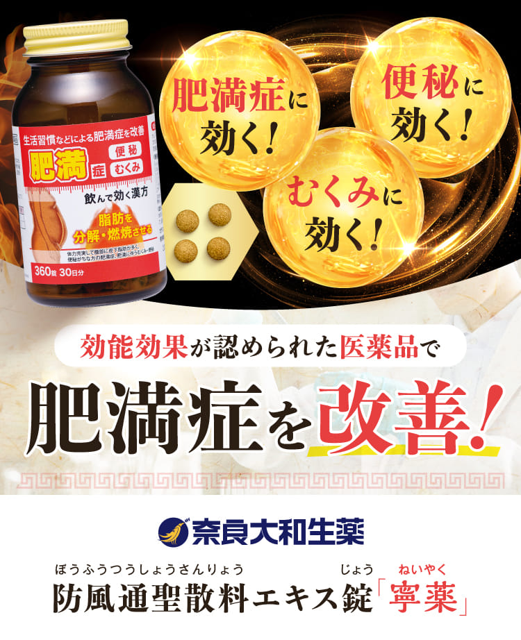 防風通聖散料エキス錠「寧薬」