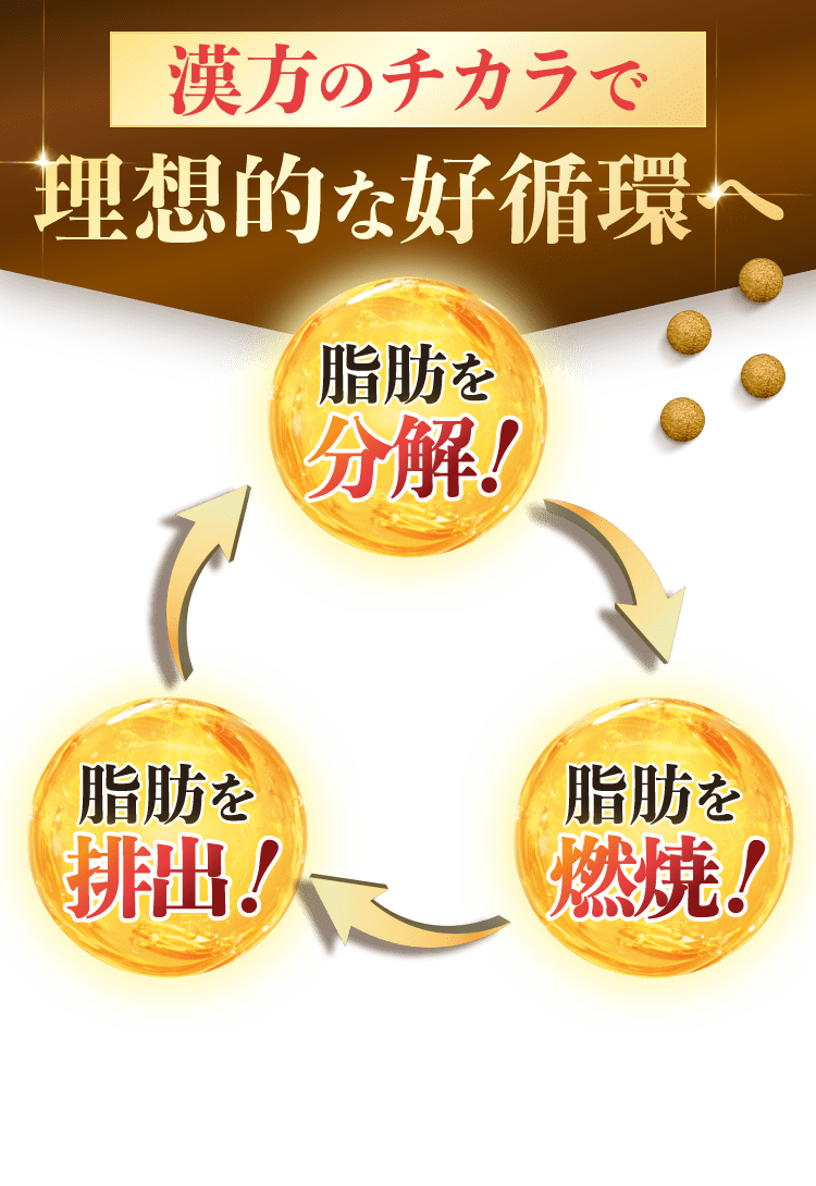 漢方のチカラで理想的な好循環へ