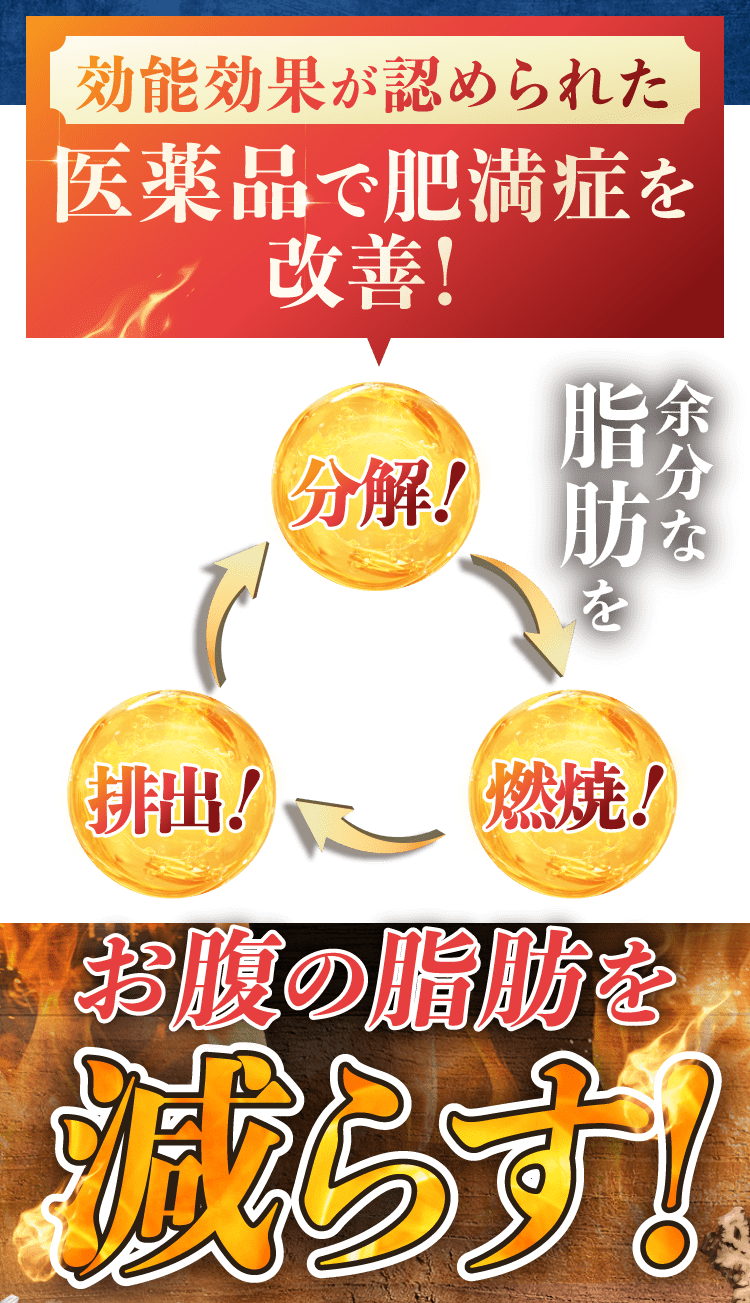 効能効果が認められた医薬品で肥満症を改善！
