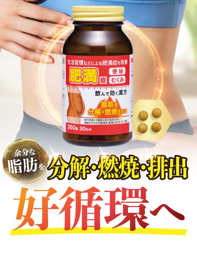 効能効果が認められた医薬品で肥満症を改善