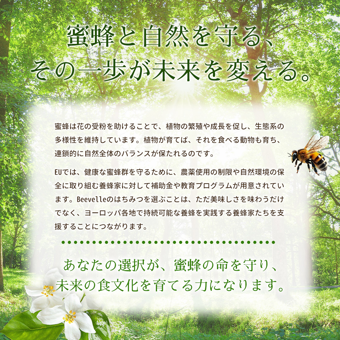 はちみつ Beevelle(ビーベル) はちみつの種類: 百花はちみつ