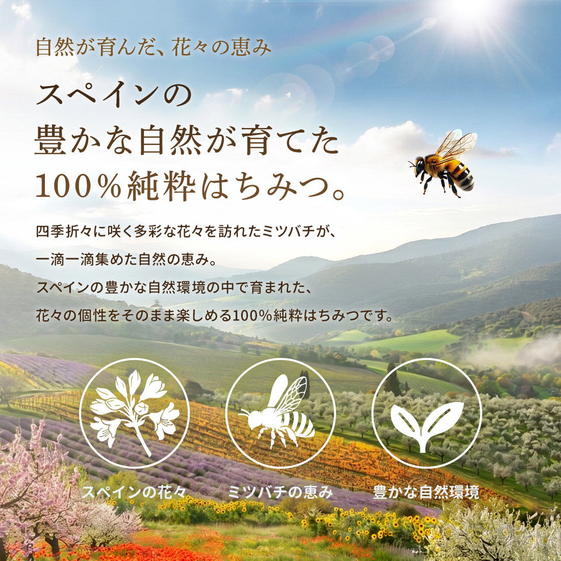 はちみつ Beevelle(ビーベル) [30日返金保証] はちみつの種類: 百花はちみつ