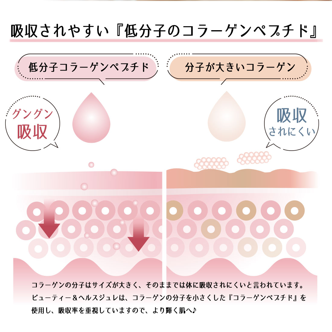 魅惑ザクロ + 美容ゼリー コラーゲンゼリー【1本：20g】 セット内容: 7本