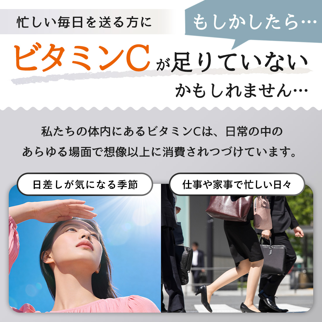 Lipora-C (30本入) 個数: 1箱（30本入り）