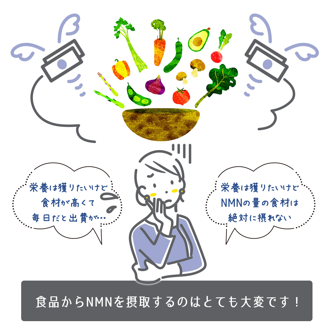 [初回購入者特別価格] 魅惑ザクロNMNブースト 個数: 1袋